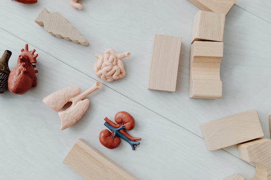 Top 10 Educational Toys Every Parent in the U.S. Should Buy in 2025